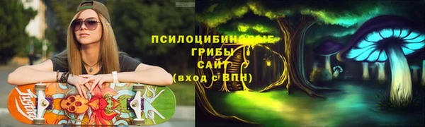 винт Горно-Алтайск