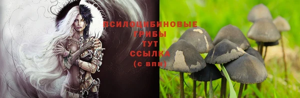 mdpv Горняк