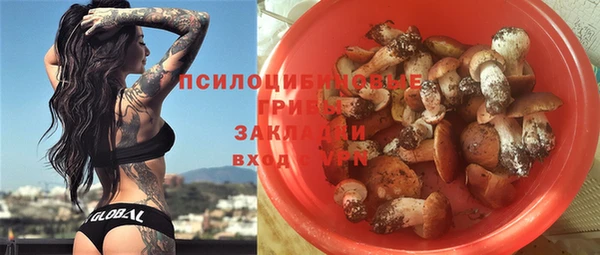 mdpv Горняк