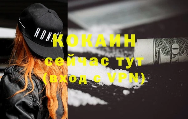mdpv Горняк