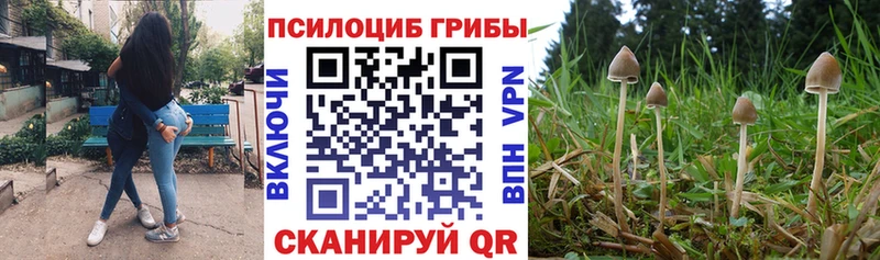 Купить где  Краснознаменск  Галлюциногенные грибы ЛСД 